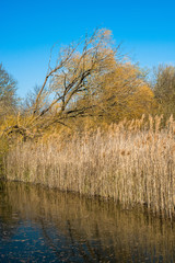 Burwell Lode waterway on Wicken Fen