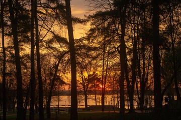 orange sunset forest lake © Olaf