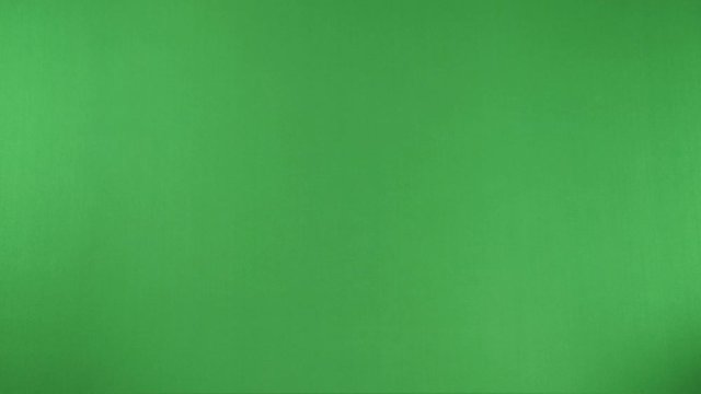 One balinese cat on chroma key isolated domestic animal, studio.