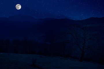 Scenic night landscape of country road at night with large moon