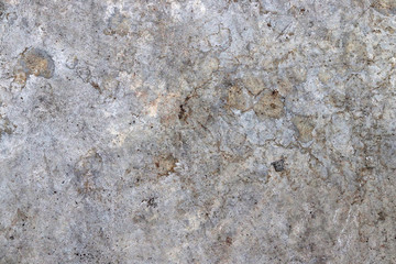 Gray cement backround. Wall texture