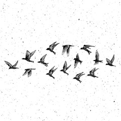 Set of black hand drawn strokes birds, flock. Drawing sketch. On textured Abstract grainy texture dust stain particles like stipple. Inspirational body flash tattoo ink.  Vector.