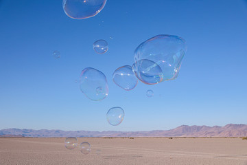 Group of large soap bubble floating above Alvord desert with Steens mountains in the background
