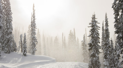 Nice day for skiing in the mountains