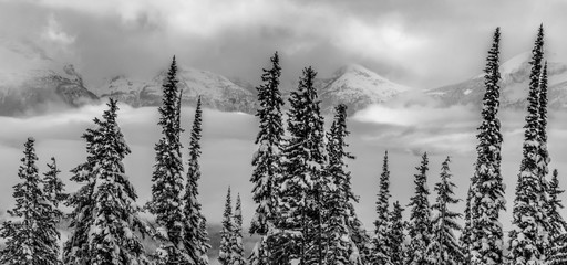 Nice day for skiing in the mountains