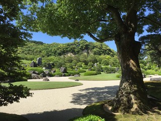 viewing Japanese garden in the shade of a tree, 日本庭園を木陰から眺める