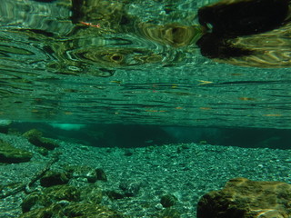 高知の清流、仁淀川の水中 / Niyodo gawa river