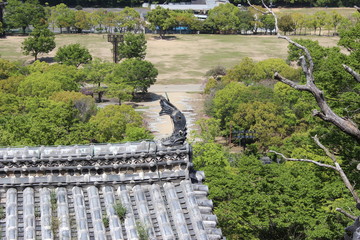 しゃちほこ　a fabulous dolphinlike fish (a pair of which were traditionally used to decorate the roof‐ridge of a Japanese castle).