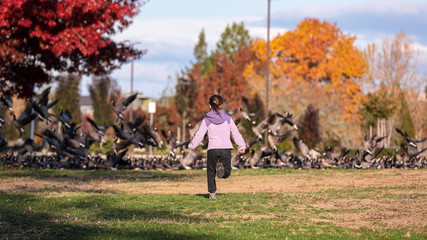Little girl in a pick jacket and black jeans chasing geese sitting on a field in a park of Hillsoro, Oregon © Dmitry