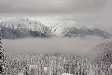 Obraz premium Skiing in friends in the mountains