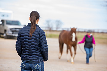 Equine Lameness Check