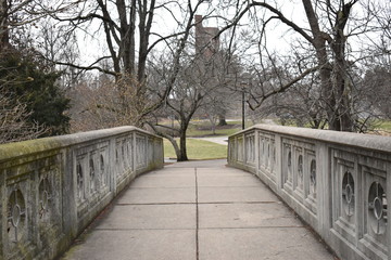 Fototapeta na wymiar bridge in park