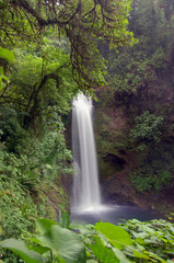 Obraz premium Waterfall in Costa Rica