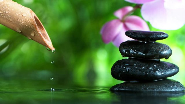 Super slow motion of dripping drops from bamboo, spa and wellness concept. Filmed on very high speed cinema camera, 1000 fps.