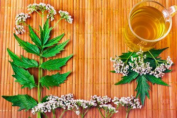 Valerian herb flower sprigs with a cup of tea on a bamboo background. Top view. Copy space.