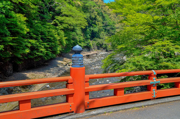 京都　清滝川