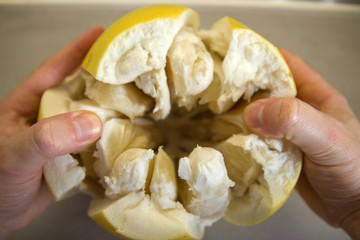 partially peeled fruit Pomelo in hands close-up