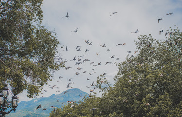 Naturaleza