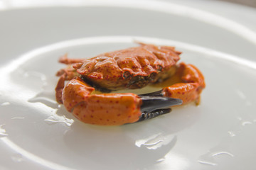red boiled crab on a white plate close-up