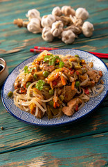 Chinese noodles with vegetables and chicken