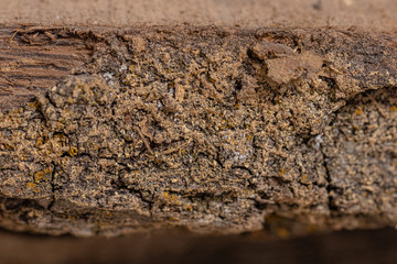 natural wood texture