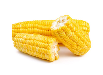 corn isolated on a white background