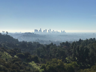 Los Angeles Skyline