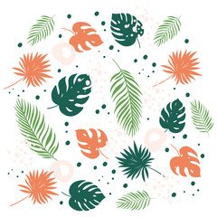 Tropical leaves set. Vector illustration in cartoon style. Isolated on white background.