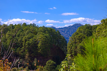 Fototapeta na wymiar Bosque, montaña, cerro