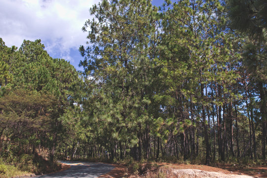 Camino a chalma, m&eacute;xico
