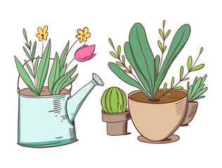Flower in watering can and green plants in home pots. Vector illustration in cartoon style.