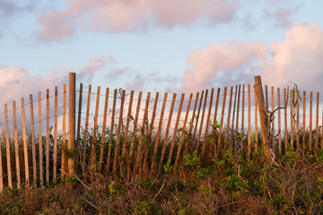 Obraz premium A typical wooden fence along the barrier sand dunes designed to keep tourists and children away from more dangerous sandy areas