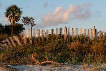 A typical wooden fence along the barrier sand dunes designed to keep tourists and children away...