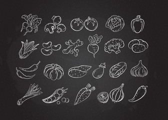 Chalked sketch vegetable icon set vector illustration. White chalk style line hand drawn vegetables, tomato and onion, garlic and mushroom sketch icon on blackboard for restaurant menu promo design