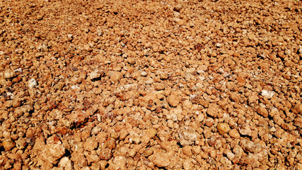 Laterite laterite stone used in paving the countryside, the surface of the stone is porous like coral.