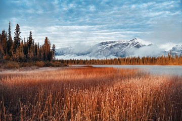 Jasper National Park Canada