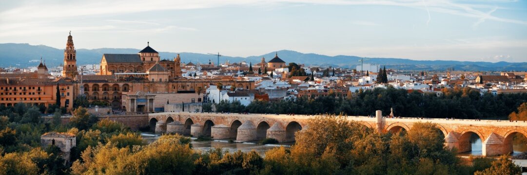 Cordoba skyline panorama