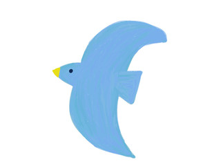 Colorful bird