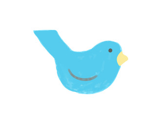 Colorful bird