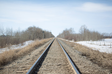 Fototapeta premium Train 