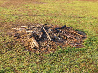 A pile of ash on the lawn Ashes left over from burning wood chips or agricultural waste on a green...