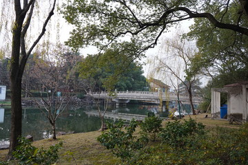 bridge in the park