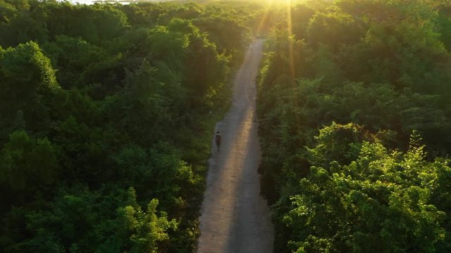 Man walking in jungle at golden hour aerial