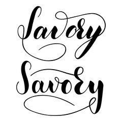 Vector hand written savory text isolated on white background. Kitchen healthy herbs and spices for cooking. Script brushpen lettering with flourishes. Handwriting for banner, poster, product label