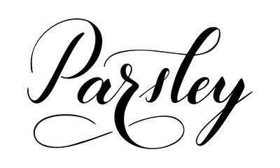 Vector hand written parsley text isolated on white background. Kitchen healthy herbs and spices for cooking. Script brushpen lettering with flourishes. Handwriting for banner, poster, product label