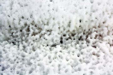 spring drops on white melting snow