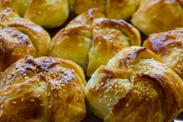 Closeup of a traditional oriental meat pastries on a plate. Bun with lamb, samsa.