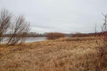 Obraz premium Yellow landscape in autumn cloudy day with yellow grass and lake