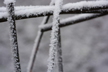 A metallic old rusty square-headed, square mesh, a cage decorated with white snow, bright hoarfrost...