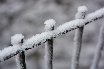 A metallic old rusty square-headed, square mesh, a cage decorated with white snow, bright hoarfrost...